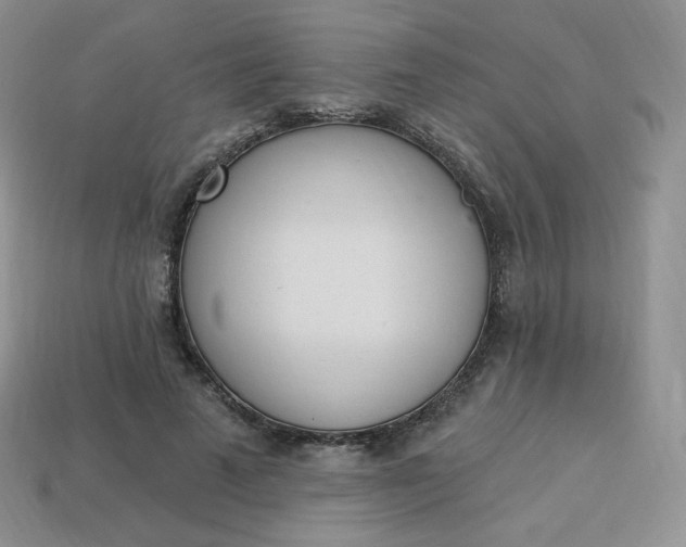 X0000114030689200910161820