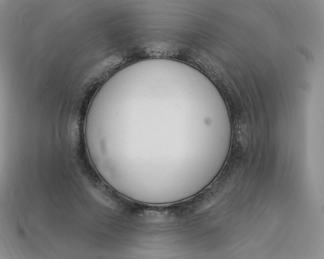 X0000114030690200910161820