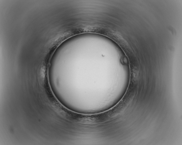 X0000114030691200910161820