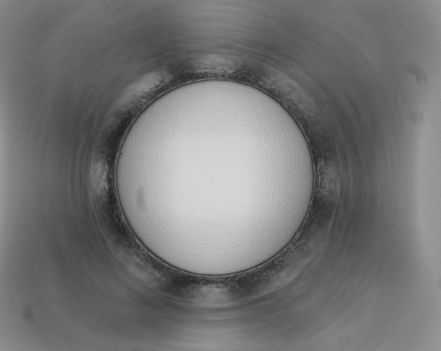 X0000114030692200910161820