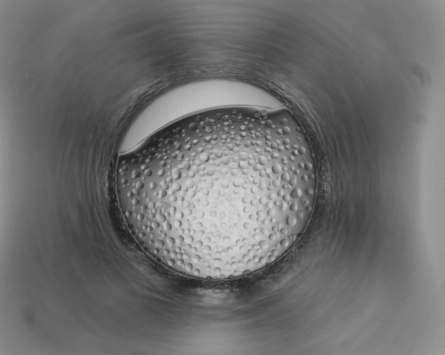 X0000114030693200910161820