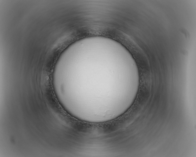 X0000114030696200910161820