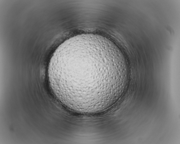 X0000114030697200910161820