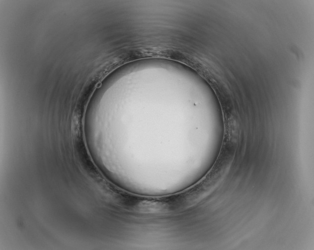 X0000114030699200910161820