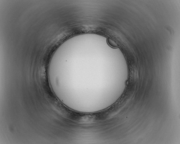 X0000114030700200910161820