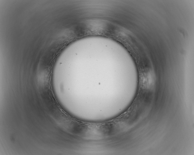 X0000114030701200910161820