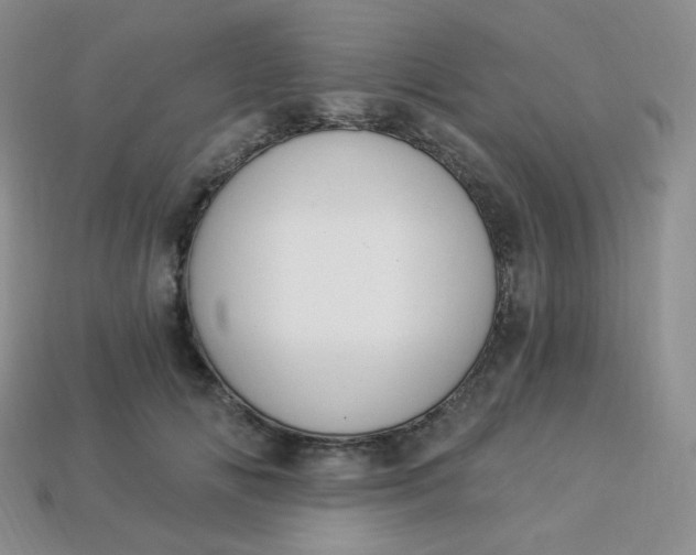 X0000114030702200910161820