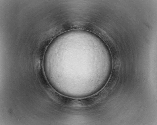 X0000114030703200910161820