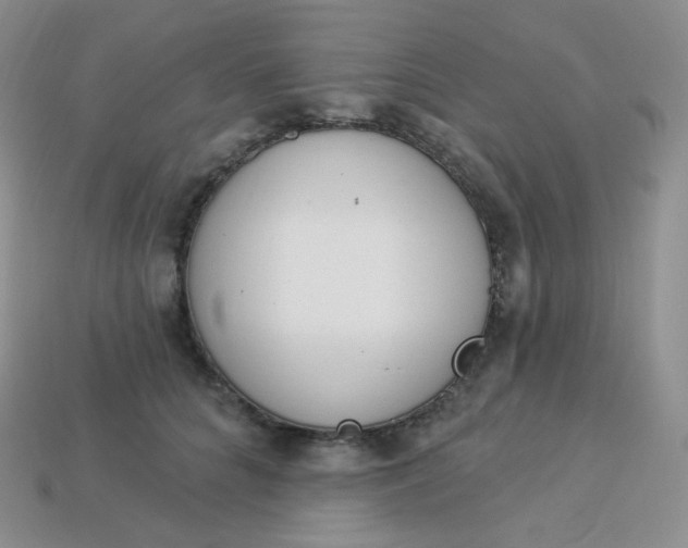 X0000114030704200910161820