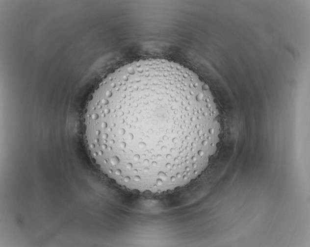 X0000114030706200910161820