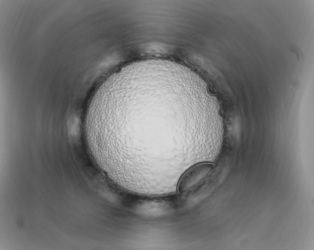 X0000114030708200910161820