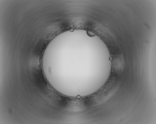 X0000114030709200910161820