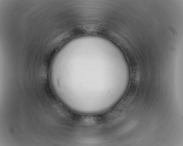 X0000114030710200910161820