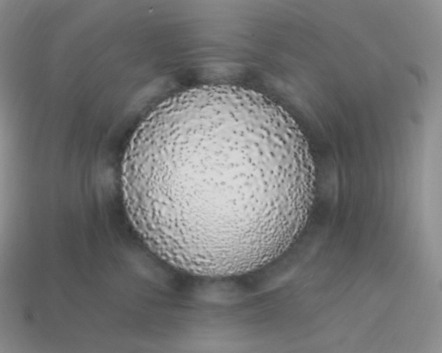 X0000114030716200910161820