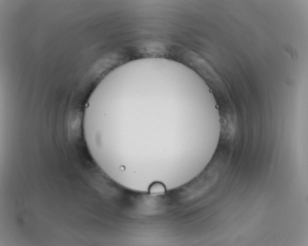 X0000114030717200910161820