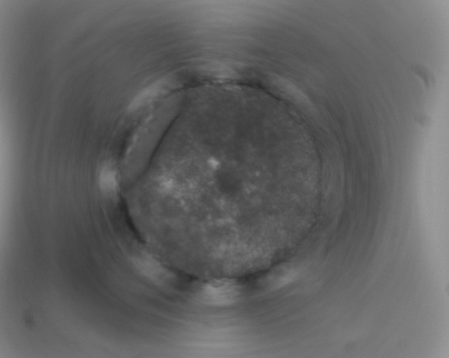 X0000114030720200910161820