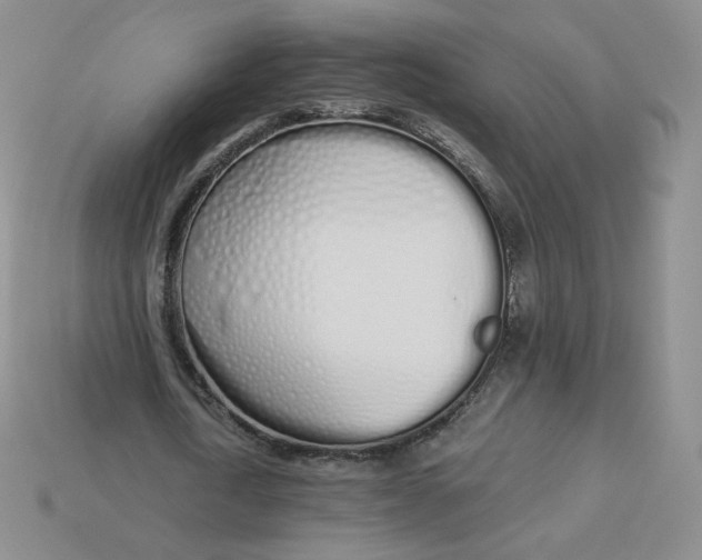 X0000114030722200910161819