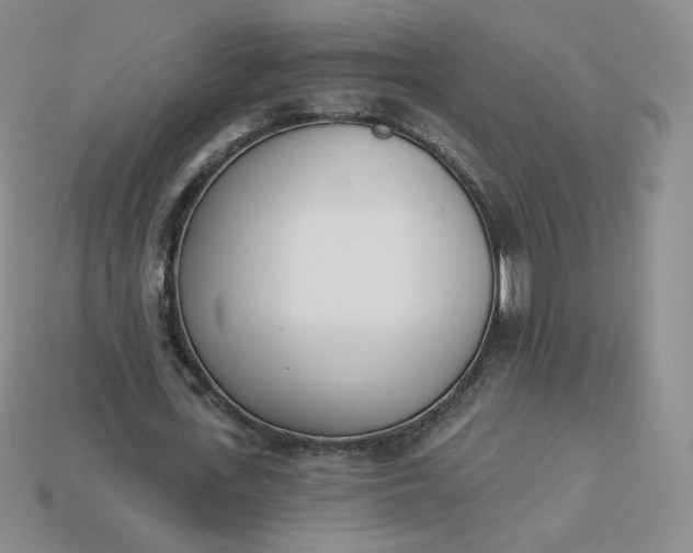 X0000114030723200910161819