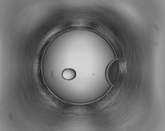 X0000114030724200910161819