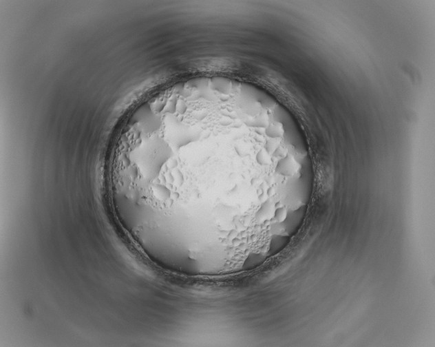 X0000114030725200910161819