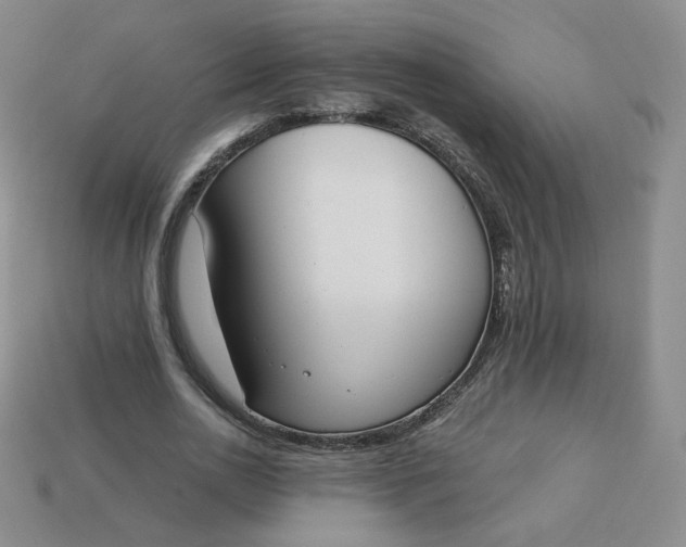 X0000114030726200910161819