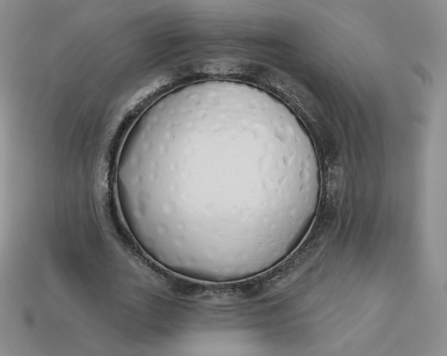 X0000114030727200910161819