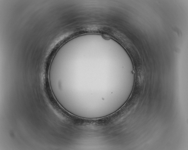 X0000114030728200910161819