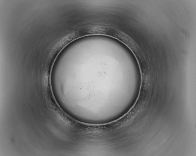 X0000114030729200910161819