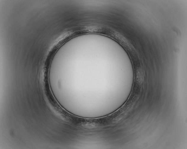 X0000114030730200910161819