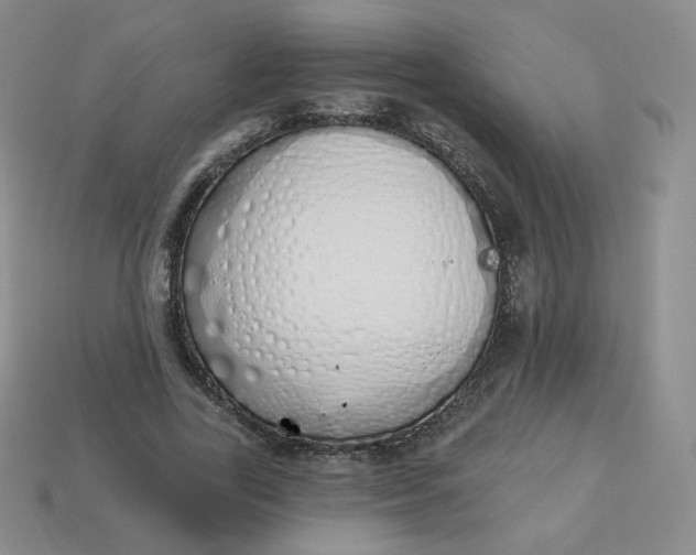 X0000114030731200910161819