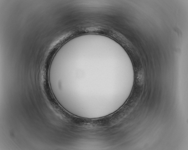 X0000114030732200910161819