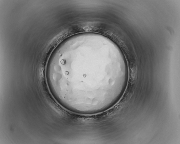 X0000114030733200910161819