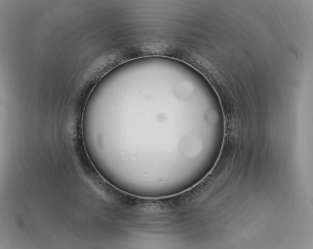 X0000114030738200910161819