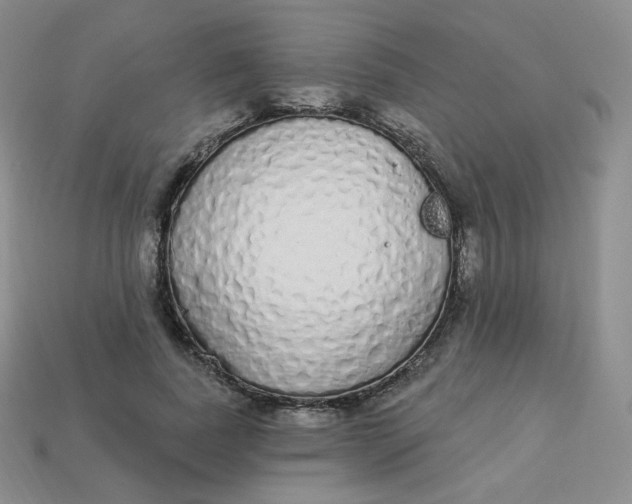 X0000114030739200910161819