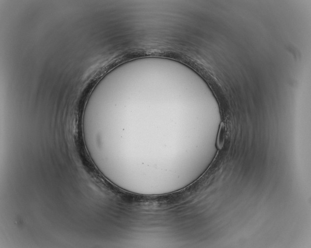 X0000114030740200910161819