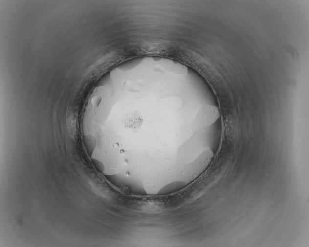 X0000114030741200910161819