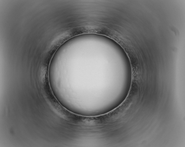 X0000114030742200910161819