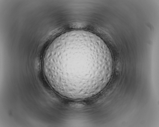 X0000114030743200910161819