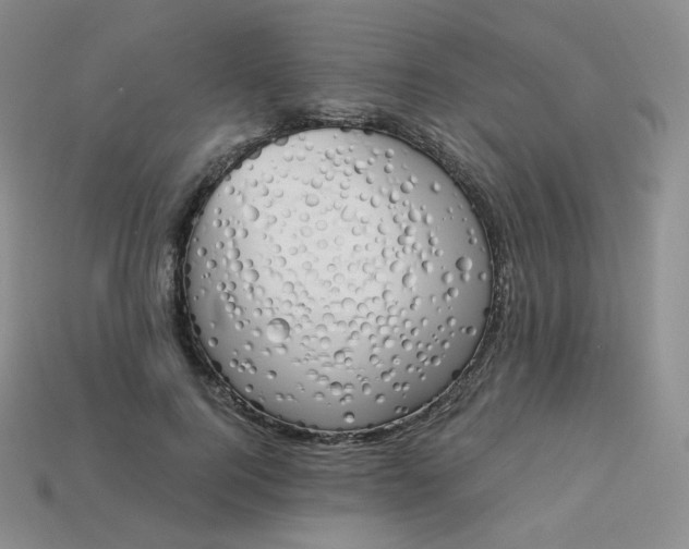 X0000114030744200910161819