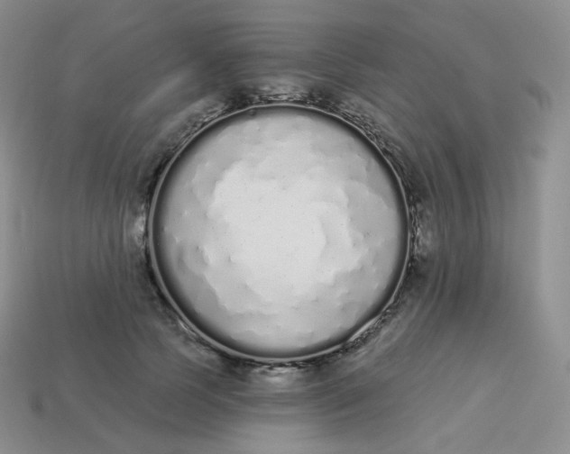 X0000114030745200910161819