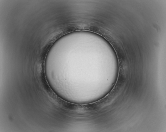 X0000114030746200910161819