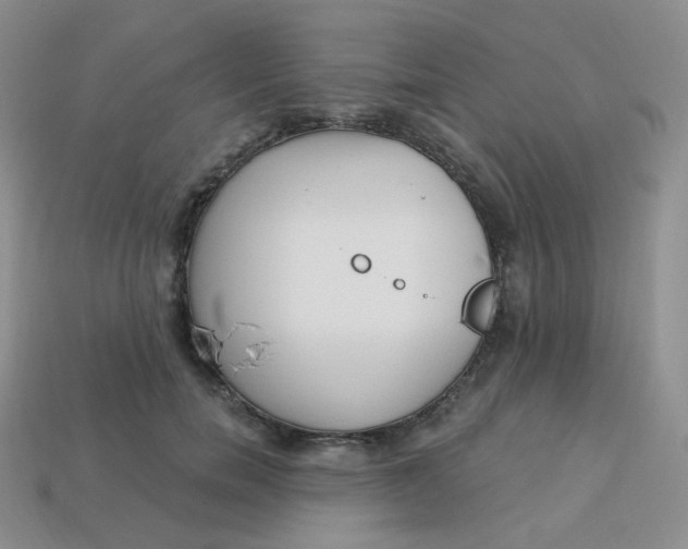 X0000114030750200910161819