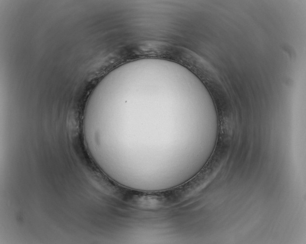 X0000114030751200910161819