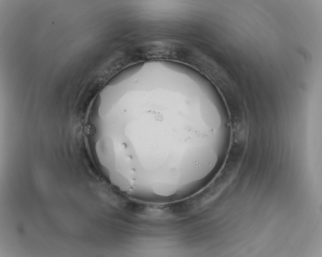 X0000114030753200910161819