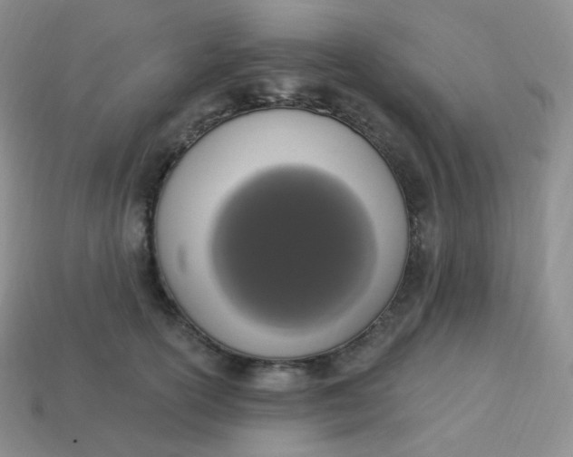 X0000114030754200910161819