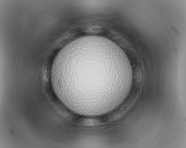 X0000114030755200910161819