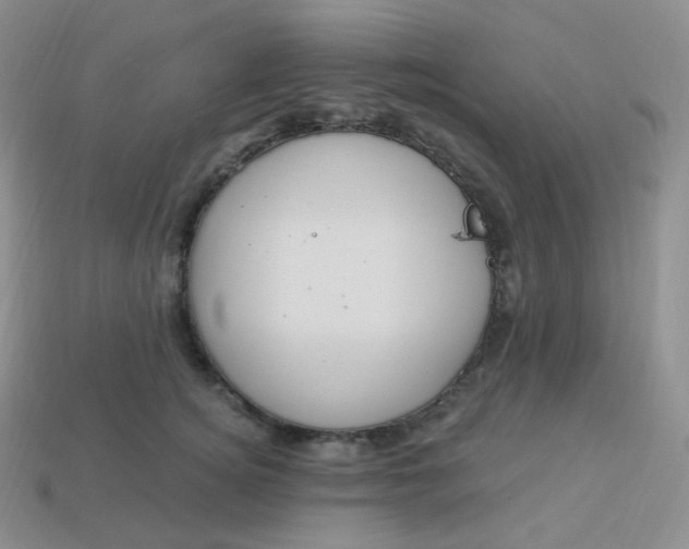 X0000114030756200910161819