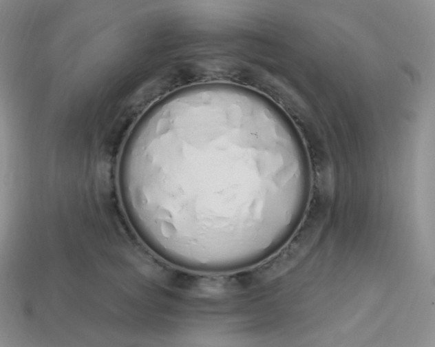 X0000114030757200910161819