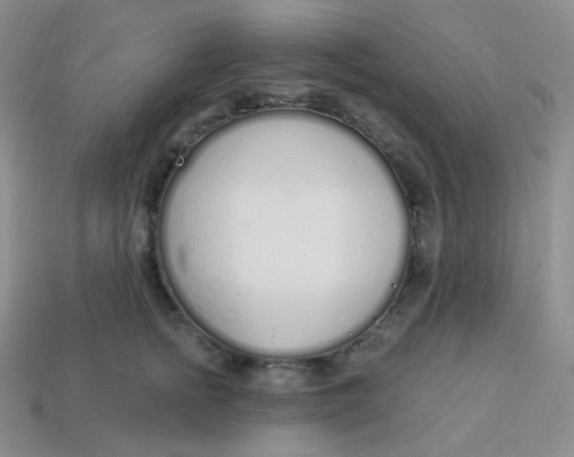 X0000114030758200910161819