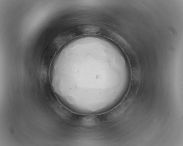 X0000114030761200910161820